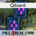 Qibianli 03